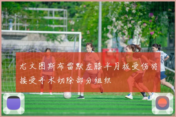 尤文图斯布雷默左膝半月板受伤将接受手术切除部分组织