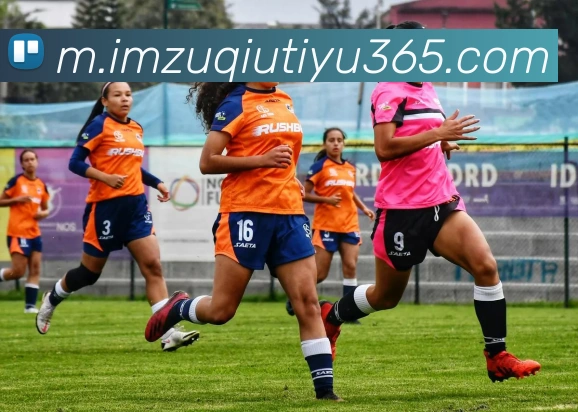 IM体育平台生态图