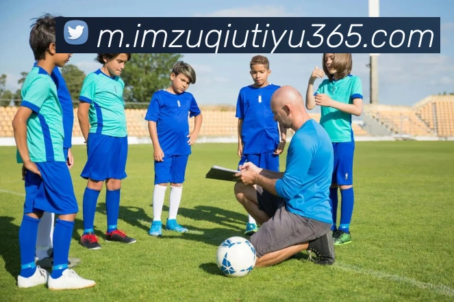 IM体育APP 封面图